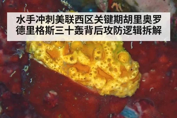 水手冲刺美联西区关键期胡里奥罗德里格斯三十轰背后攻防逻辑拆解